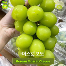 Load image into Gallery viewer, Korean Muscat Grapes (pack) ⭐

