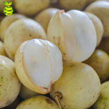 Load image into Gallery viewer, Lanzones Duco (1kg/pack) ⭐
