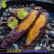 Load image into Gallery viewer, BTB - Authentic Sweet Potato Japanese Yellow (2-2.5kg/Box) Premium Brand ⭐
