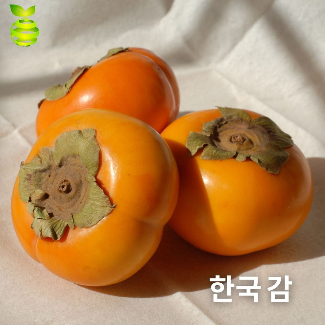 Korean Fuyu Persimmon (piece) ⭐