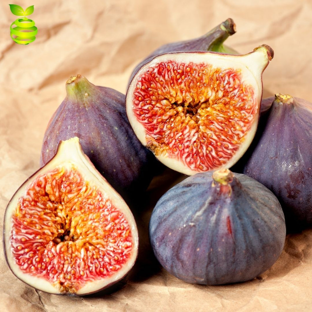 Fresh Figs (6pcs/pack) ⭐