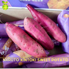 Load image into Gallery viewer, BTB - NarutoKintoki Sweet Potato Japanese Yellow (2-2.5kg/Box) Premium Brand ⭐
