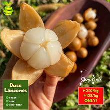 Load image into Gallery viewer, Lanzones Duco (1kg/pack) ⭐
