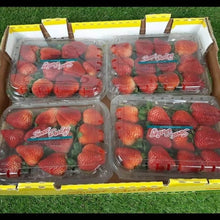 Load image into Gallery viewer, US Strawberry Sweet (pack) ⭐
