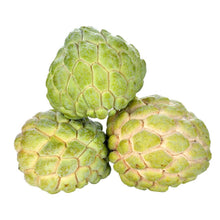 Load image into Gallery viewer, Atis Regular (500G)
