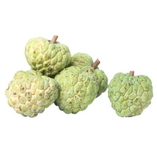 Load image into Gallery viewer, Atis Regular (500G)
