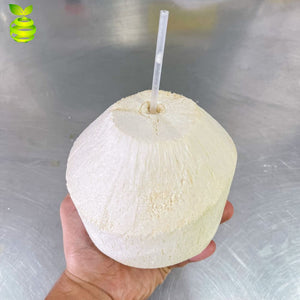 BTB - Vietnam Coconut Juice + straw (12 pieces)