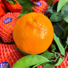 Load image into Gallery viewer, Japan Jelly Orange (piece)

