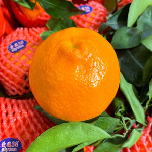 Japan Jelly Orange (piece)