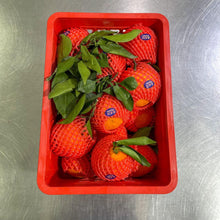 Load image into Gallery viewer, BTB - Jelly Oranges (16-17pcs/box)
