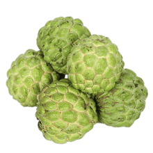 Load image into Gallery viewer, Atis Regular (500G)

