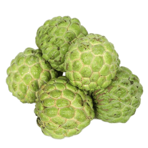 Atis Regular (500G)