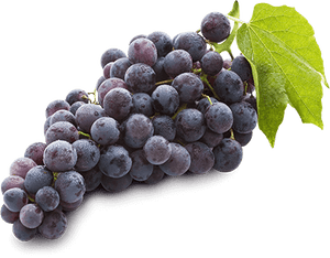 Black Grapes (500g/pack)