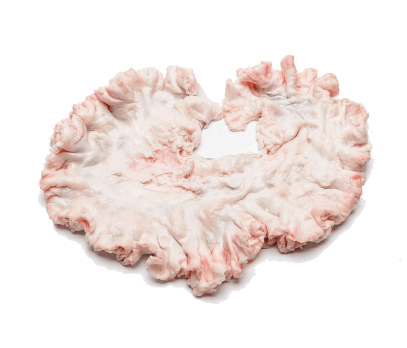 Pork - Flower Chicharon Bulaklak (500G)