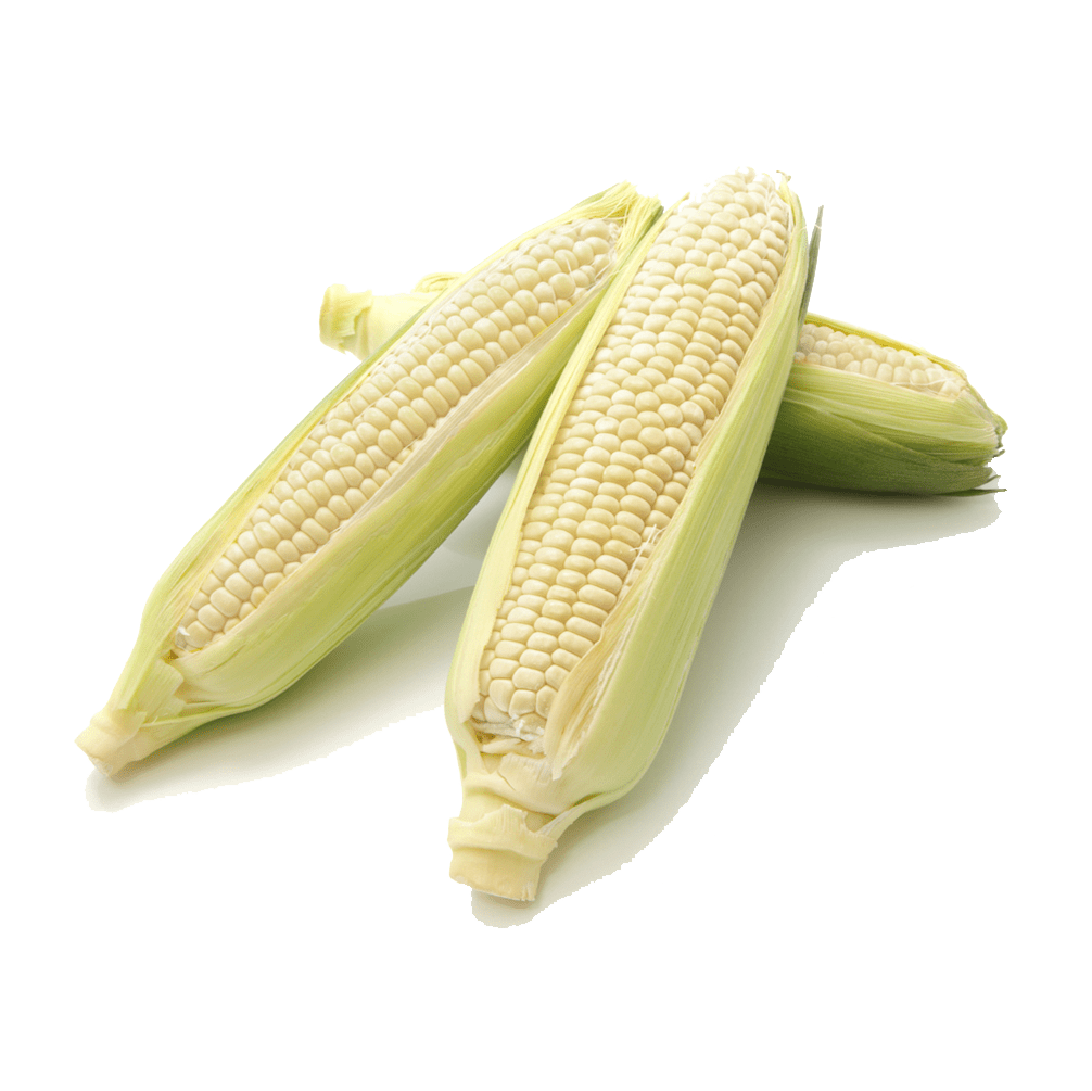 Corn White (kg)