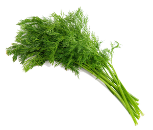 Dill Fresh (100g)