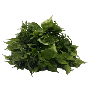 Dahon ng Sili (100g)