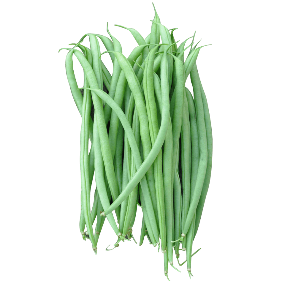 French Beans (250g) Fresh and Green