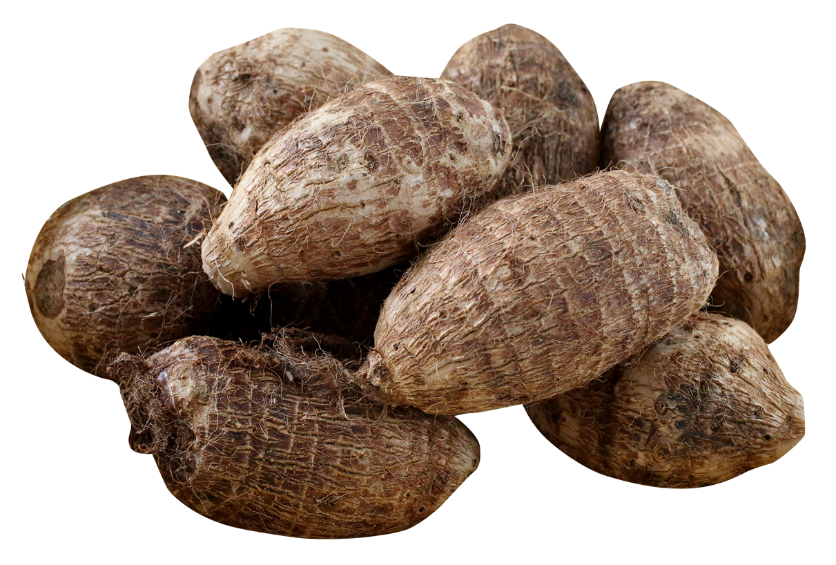 Gabi Root (250g) – Fresh and Green