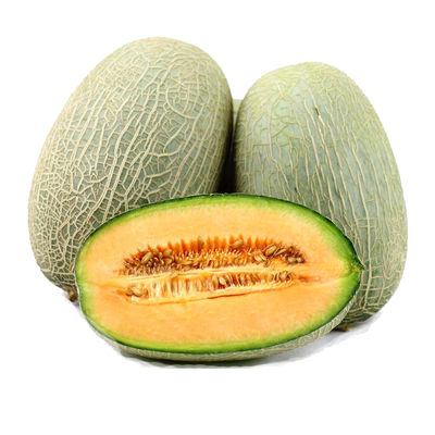 Hami Melon (piece)