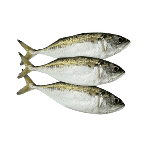 Seafood - Hasa Hasa (1kg)