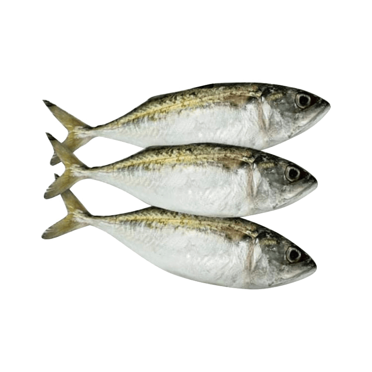 Seafood - Hasa Hasa (1kg)