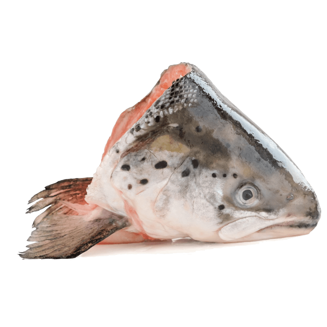 Seafood - Salmon Head (piece)