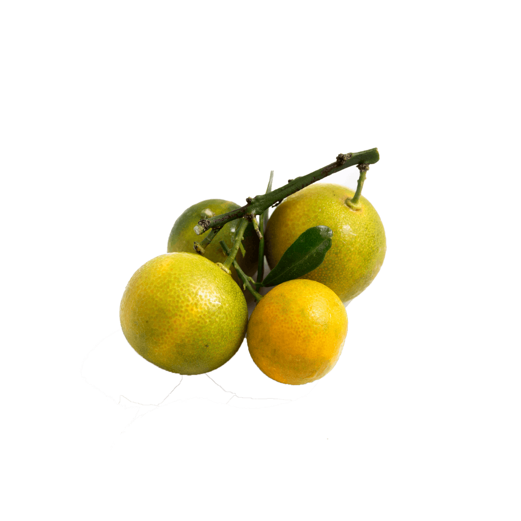 Kumquat (pack) ⭐