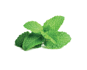 Mint Leaves Fresh (100g)