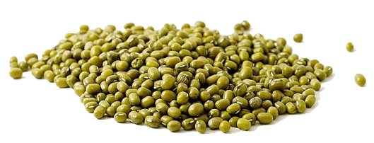 Monggo Beans (250g)