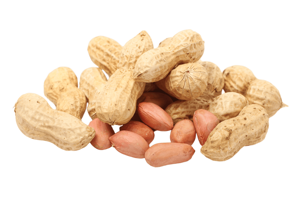 Peanuts with shell (500g)