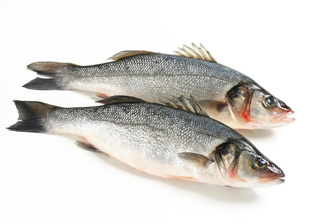 Seafood - Seabass (1.2KG-1.4KG) ⭐