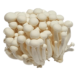 Mushroom Shimeji (pack)