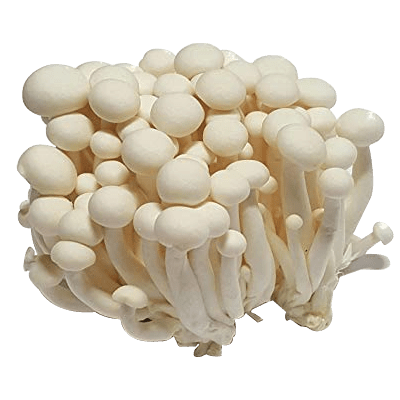 Mushroom Shimeji (pack)