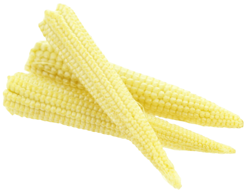 Young Corn (pack)