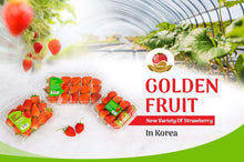 Load image into Gallery viewer, Korean Strawberry (250G or 330G pack) ⭐ Season Ending
