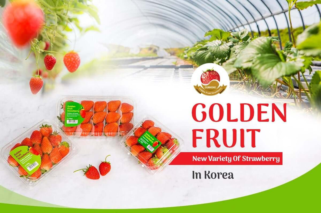 Korean Strawberry (250G or 330G pack) ⭐