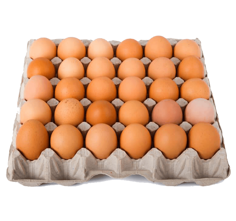 Eggs Organic (Tray)