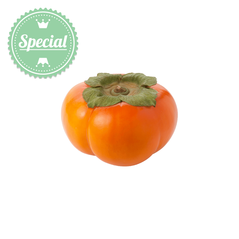 Persimmon Korean Large (piece)