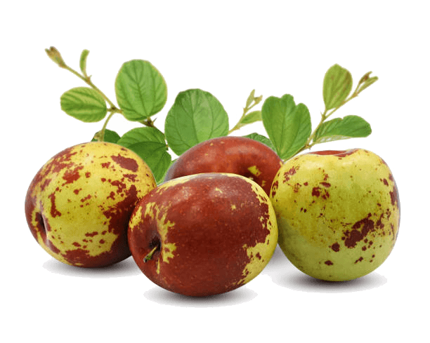 Winter Dates Jujube (250g/pack) ⭐