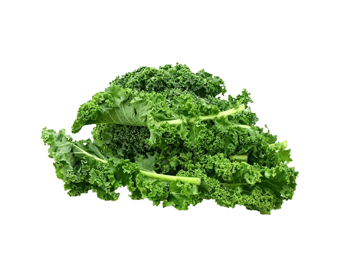 Organic Kale Curly (100g)