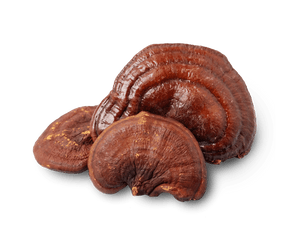 Mushroom Tenga Daga (250g)